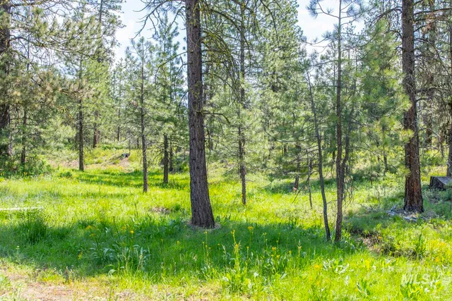 $8,892,000 | Tbd1 Tbd1 Us-95 New Meadows, New Meadows, ID 83654