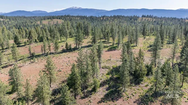 $8,892,000 | Tbd1 Tbd1 Us-95 New Meadows, New Meadows, ID 83654