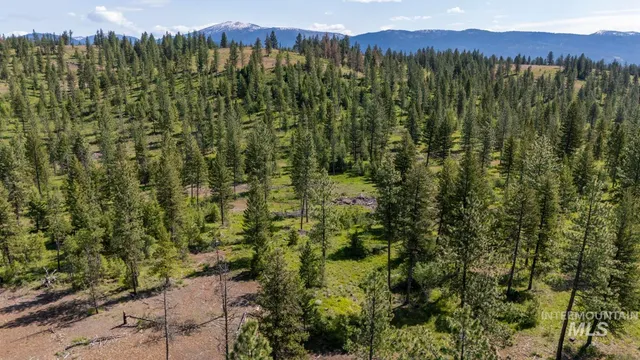 $8,892,000 | Tbd1 Tbd1 Us-95 New Meadows, New Meadows, ID 83654