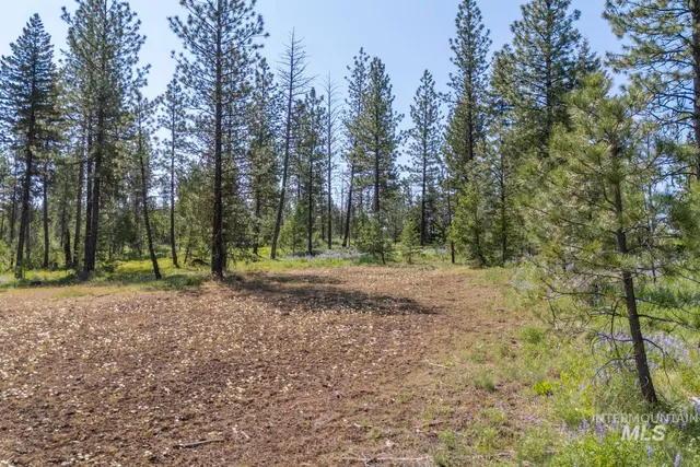 $8,892,000 | Tbd1 Tbd1 Us-95 New Meadows, New Meadows, ID 83654