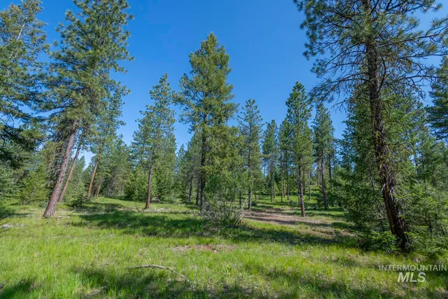 $8,892,000 | Tbd1 Tbd1 Us-95 New Meadows, New Meadows, ID 83654