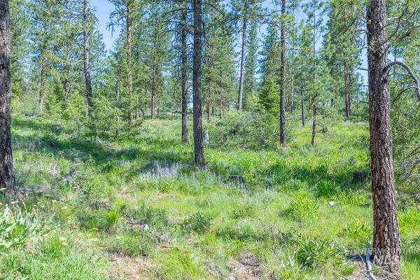 $8,892,000 | Tbd1 Tbd1 Us-95 New Meadows, New Meadows, ID 83654
