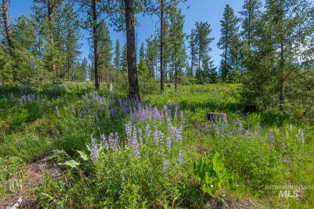 $8,892,000 | Tbd1 Tbd1 Us-95 New Meadows, New Meadows, ID 83654