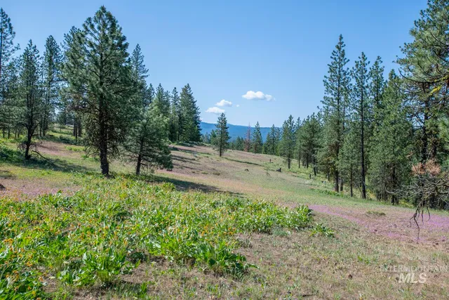 $8,892,000 | Tbd1 Tbd1 Us-95 New Meadows, New Meadows, ID 83654