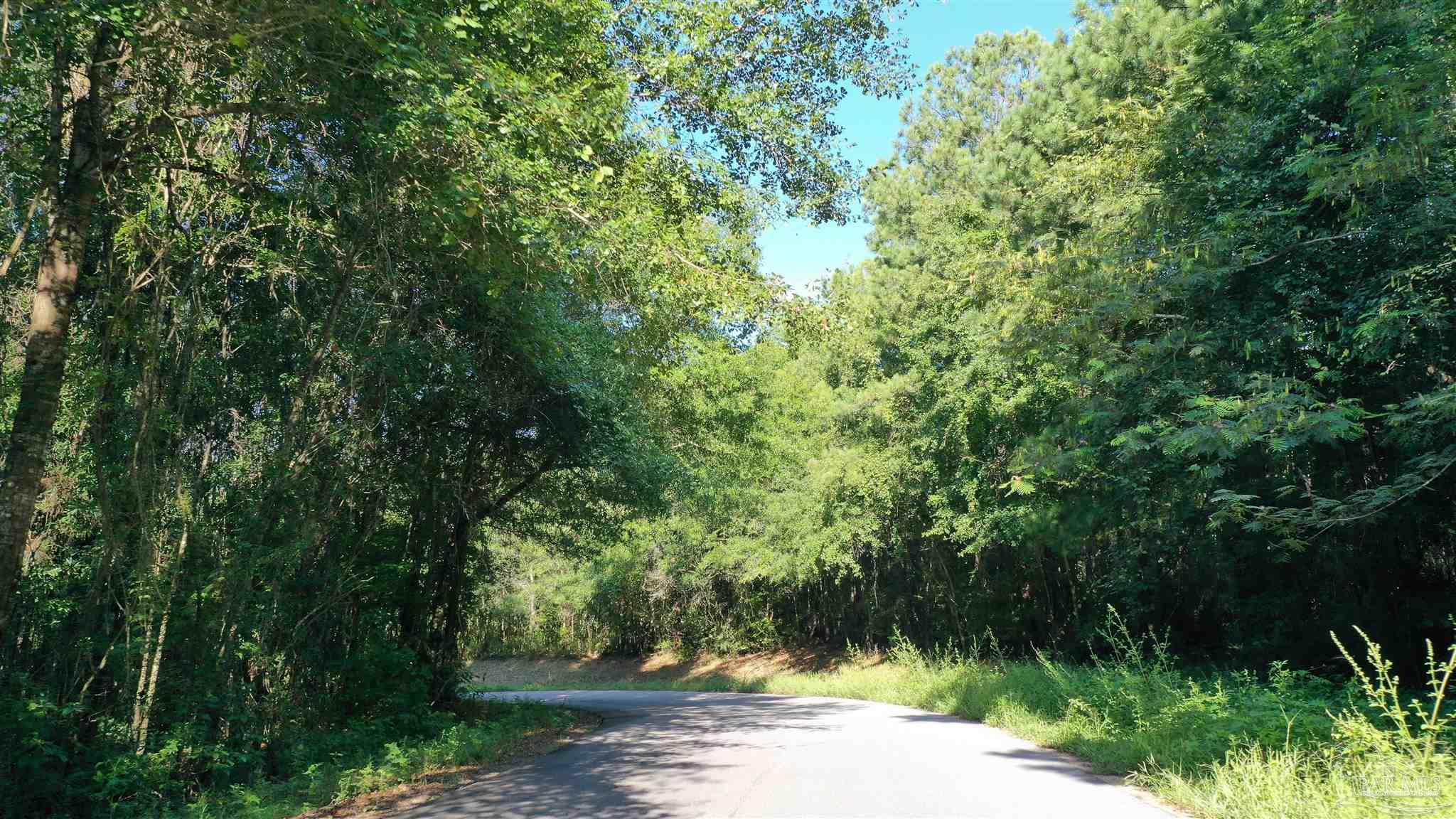 0 Broomes Road Century, FL 32535 - Photo 4 of 21 Gallery Image 4