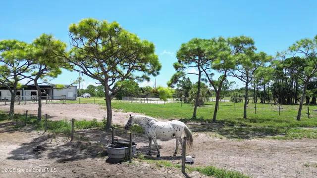 a view of a park with large trees