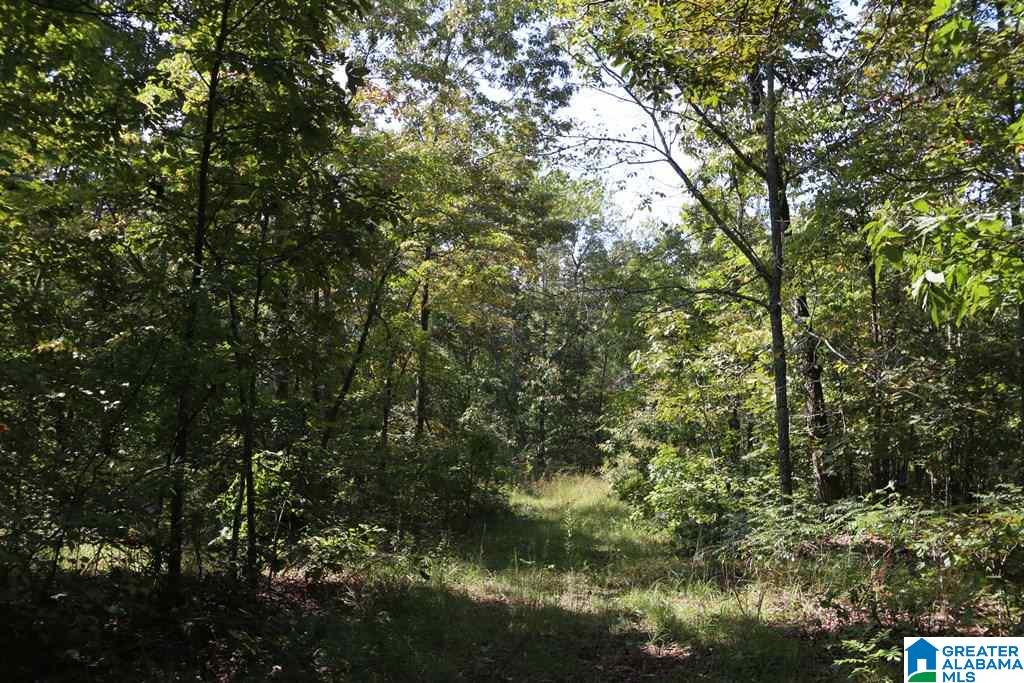 Sprayberry Road, Unit 103 Cropwell, AL 35054 - Photo 36 of 48
