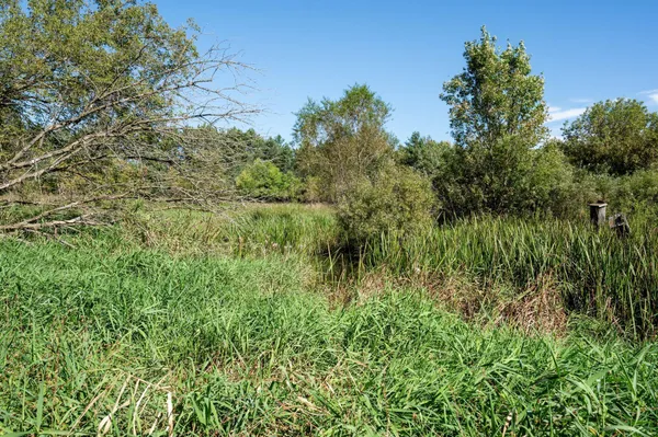 $685,000 | 2894 115th Avenue, Princeton, MN 55371