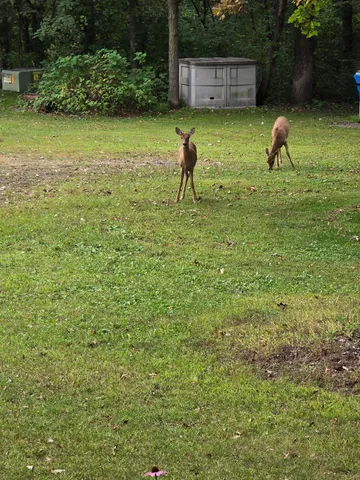 $685,000 | 2894 115th Avenue, Princeton, MN 55371