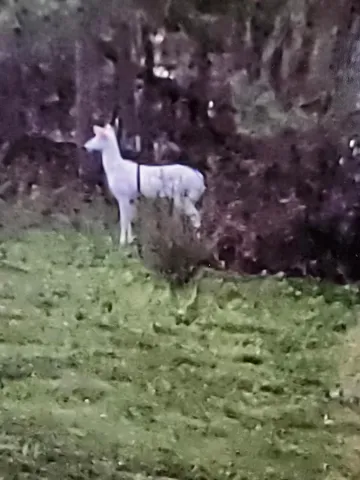 $685,000 | 2894 115th Avenue, Princeton, MN 55371