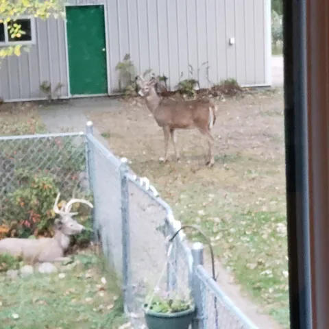 $685,000 | 2894 115th Avenue, Princeton, MN 55371