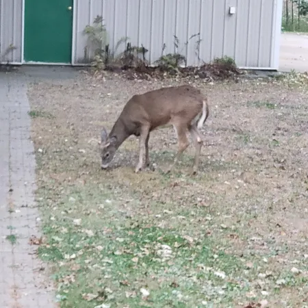 $685,000 | 2894 115th Avenue, Princeton, MN 55371