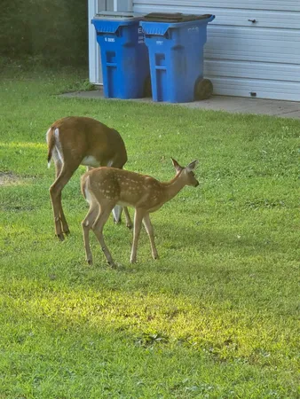 $685,000 | 2894 115th Avenue, Princeton, MN 55371