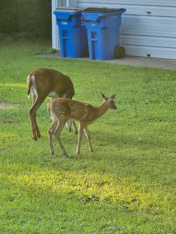 $685,000 | 2894 115th Avenue, Princeton, MN 55371