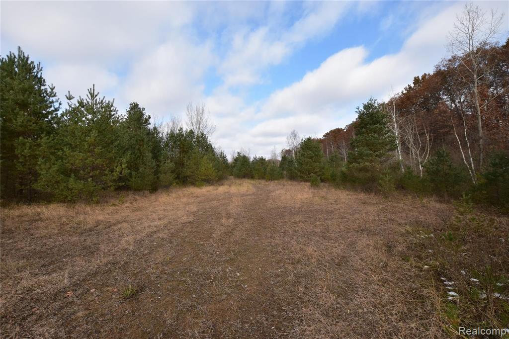 4062 West Frances Road Clio, MI 48420 - Photo 8 of 13