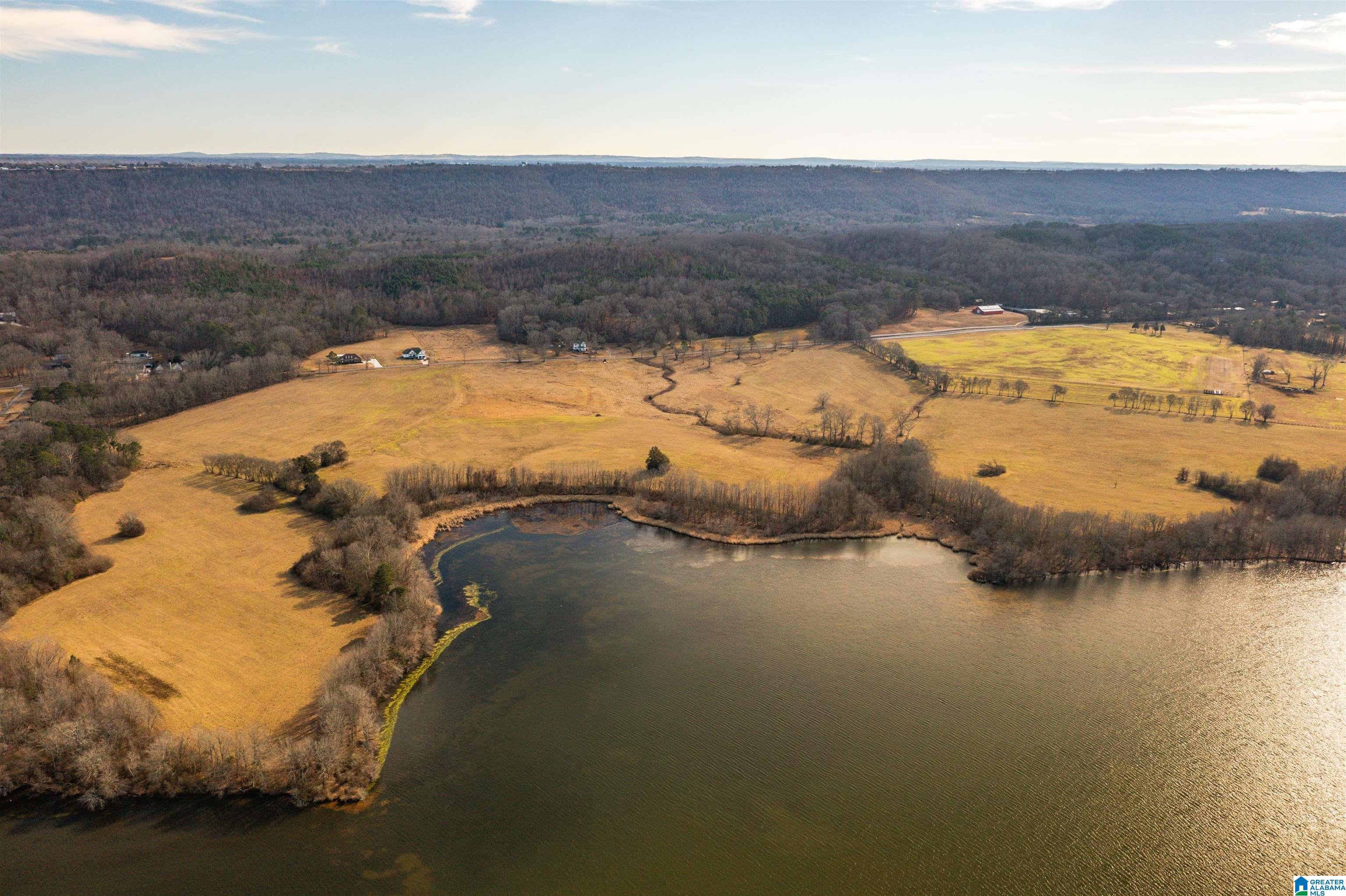 0 Browns Valley Road Guntersville, AL 35976 - Photo 11 of 39