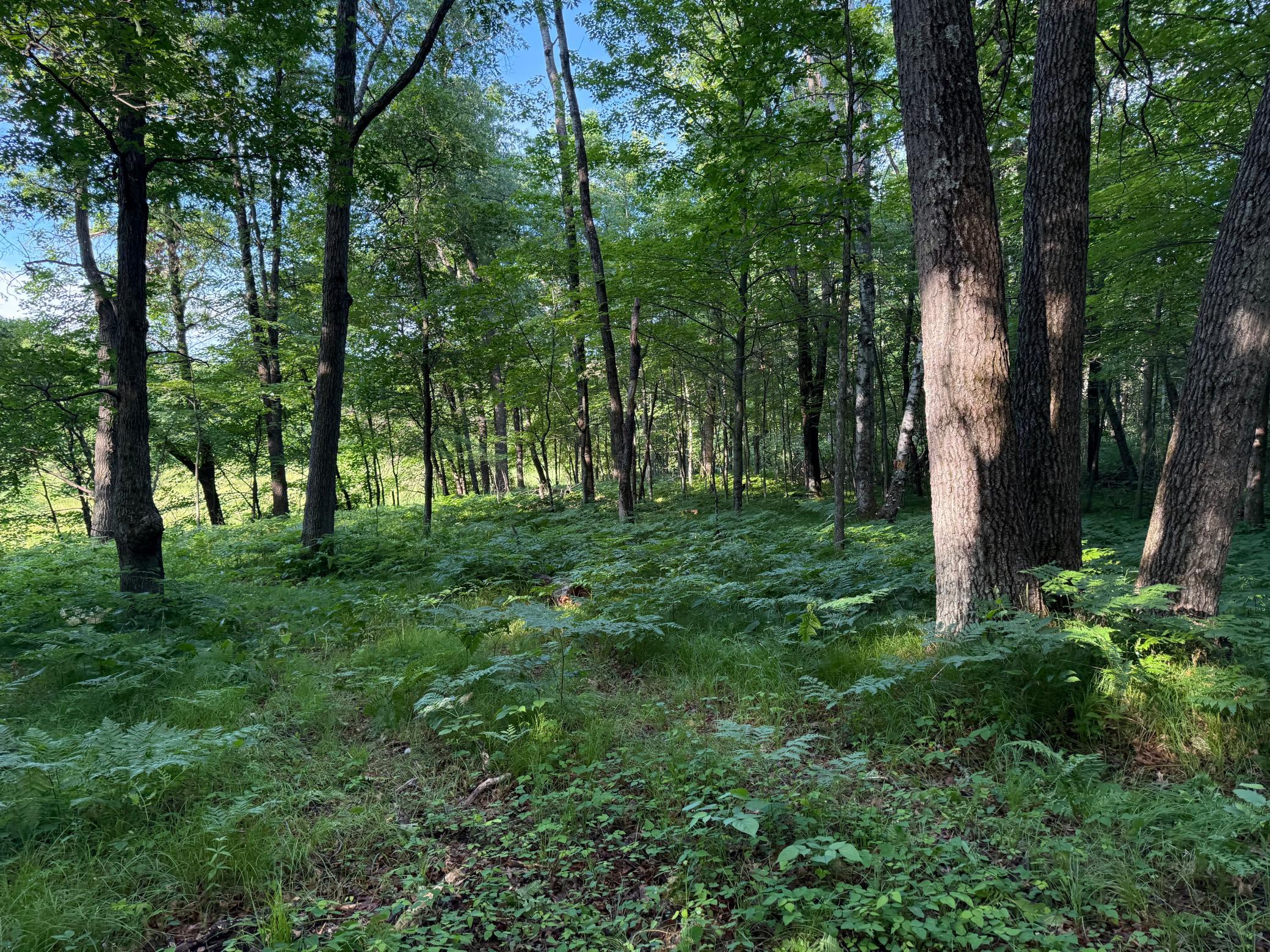 Tbd Sathre Lane Shell Lake, WI 54871 - Photo 27 of 34