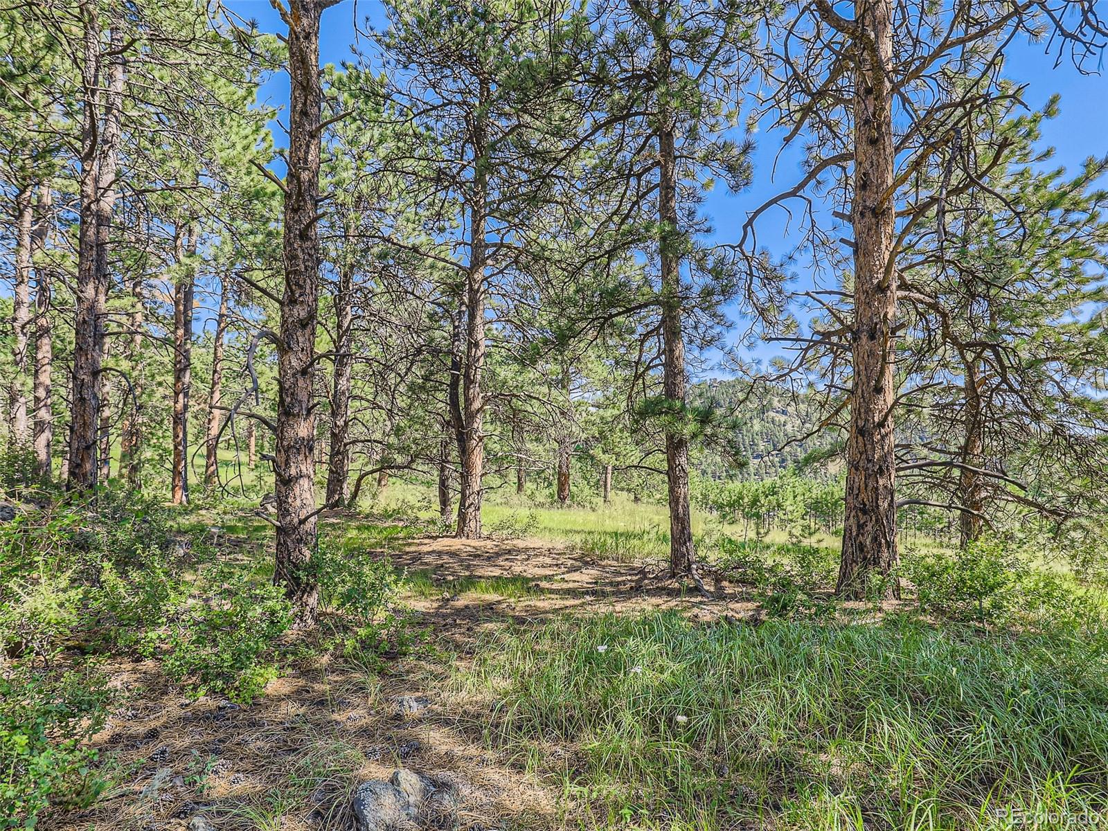 2117 Wieler Road Evergreen, CO 80439 - Photo 21 of 40 Gallery Image 21