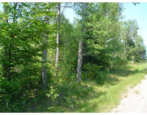 Land/Lot.
