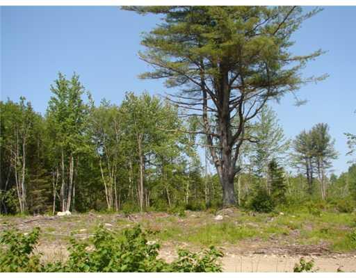 0 Route 191 North & 18 Road East Machias, ME 04630 - Photo 3 of 4 Other.