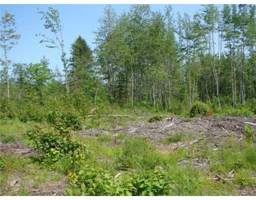 0 Route 191 North & 18 Road East Machias, ME 04630 - Photo 4 of 4 Other.