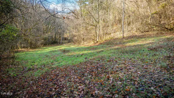 $649,900 | 1499 Keesel Hollow Road, Bybee, TN 37713