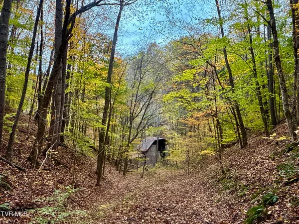 $649,900 | 1499 Keesel Hollow Road, Bybee, TN 37713