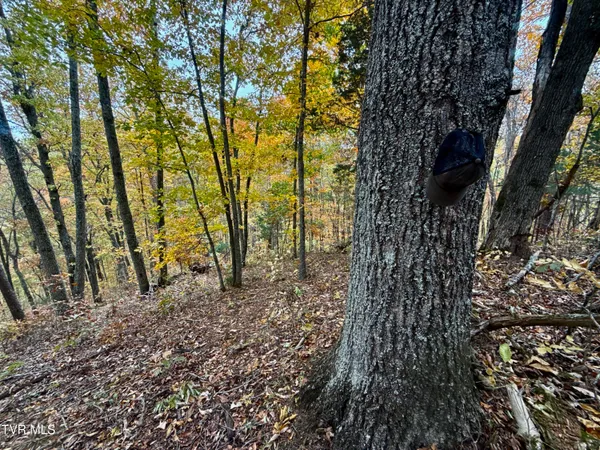 $649,900 | 1499 Keesel Hollow Road, Bybee, TN 37713