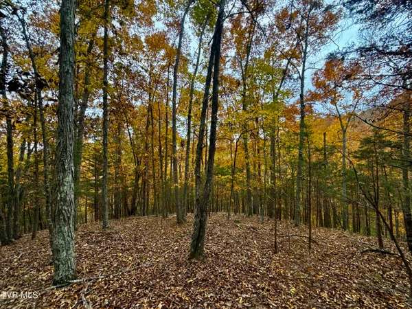 $649,900 | 1499 Keesel Hollow Road, Bybee, TN 37713