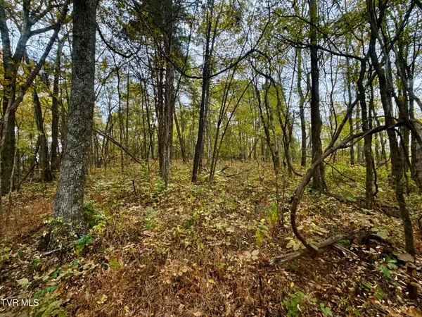 $649,900 | 1499 Keesel Hollow Road, Bybee, TN 37713