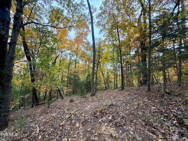 $649,900 | 1499 Keesel Hollow Road, Bybee, TN 37713