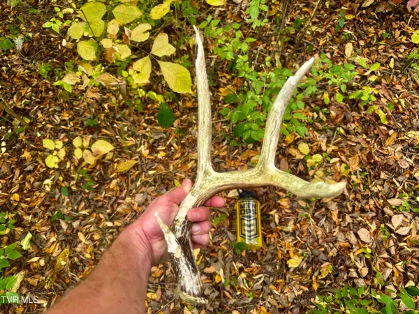 $649,900 | 1499 Keesel Hollow Road, Bybee, TN 37713