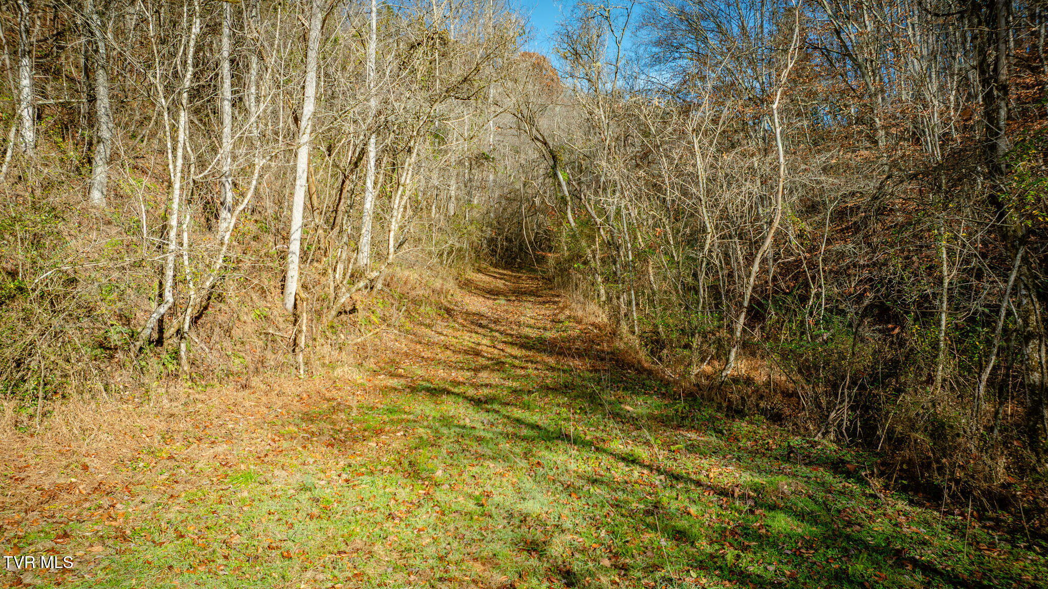 1499 Keesel Hollow Road Parrottsville, TN 37843 - Photo 48 of 65 _Pic48 (9)