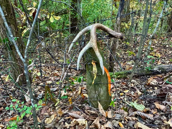 $649,900 | 1499 Keesel Hollow Road, Bybee, TN 37713