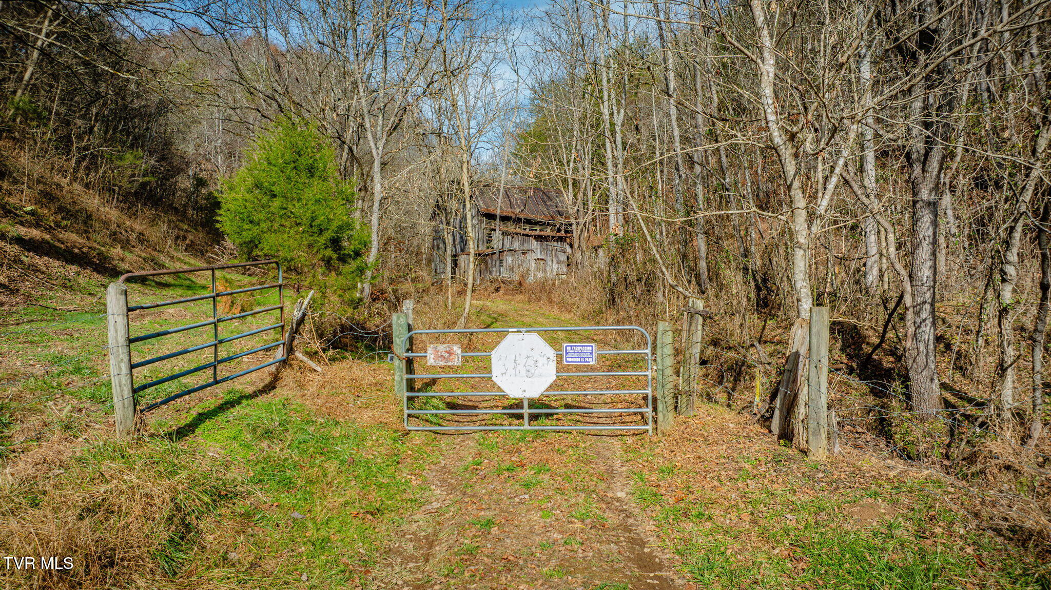 1499 Keesel Hollow Road Parrottsville, TN 37843 - Photo 6 of 65 _Pic6 (26)