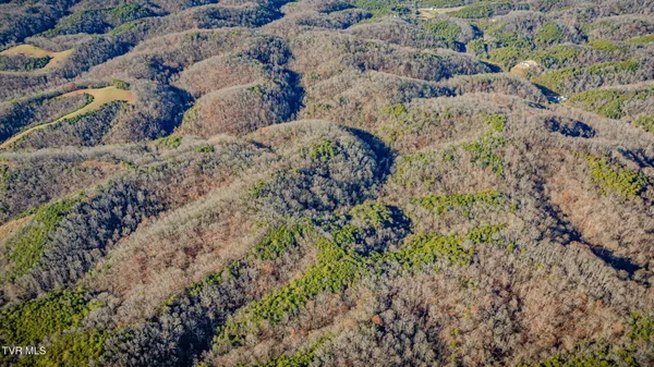 $649,900 | 1499 Keesel Hollow Road, Bybee, TN 37713