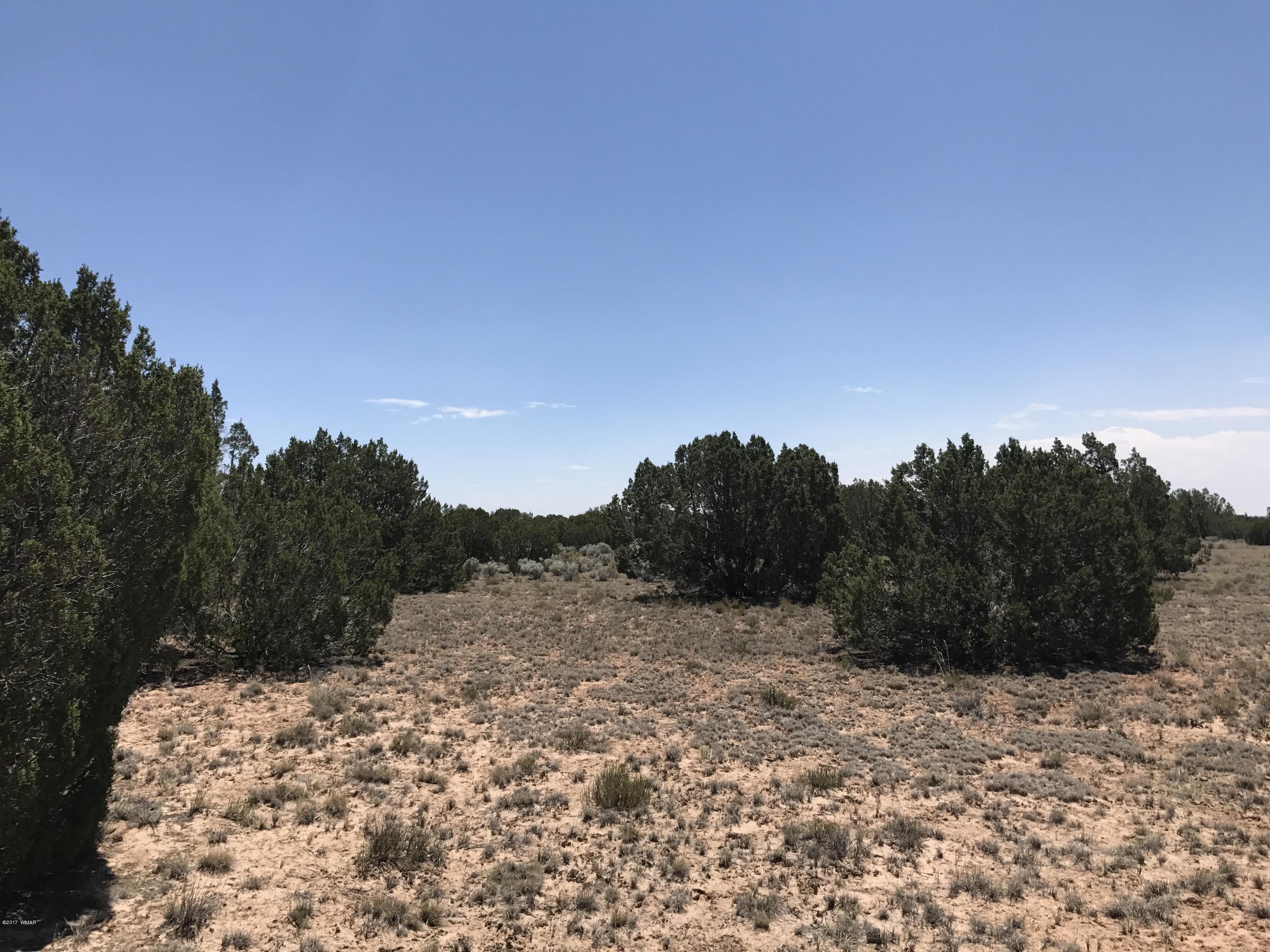 St-johns Az 85936 Ranch Chambers, AZ 86502 - Photo 6 of 12
