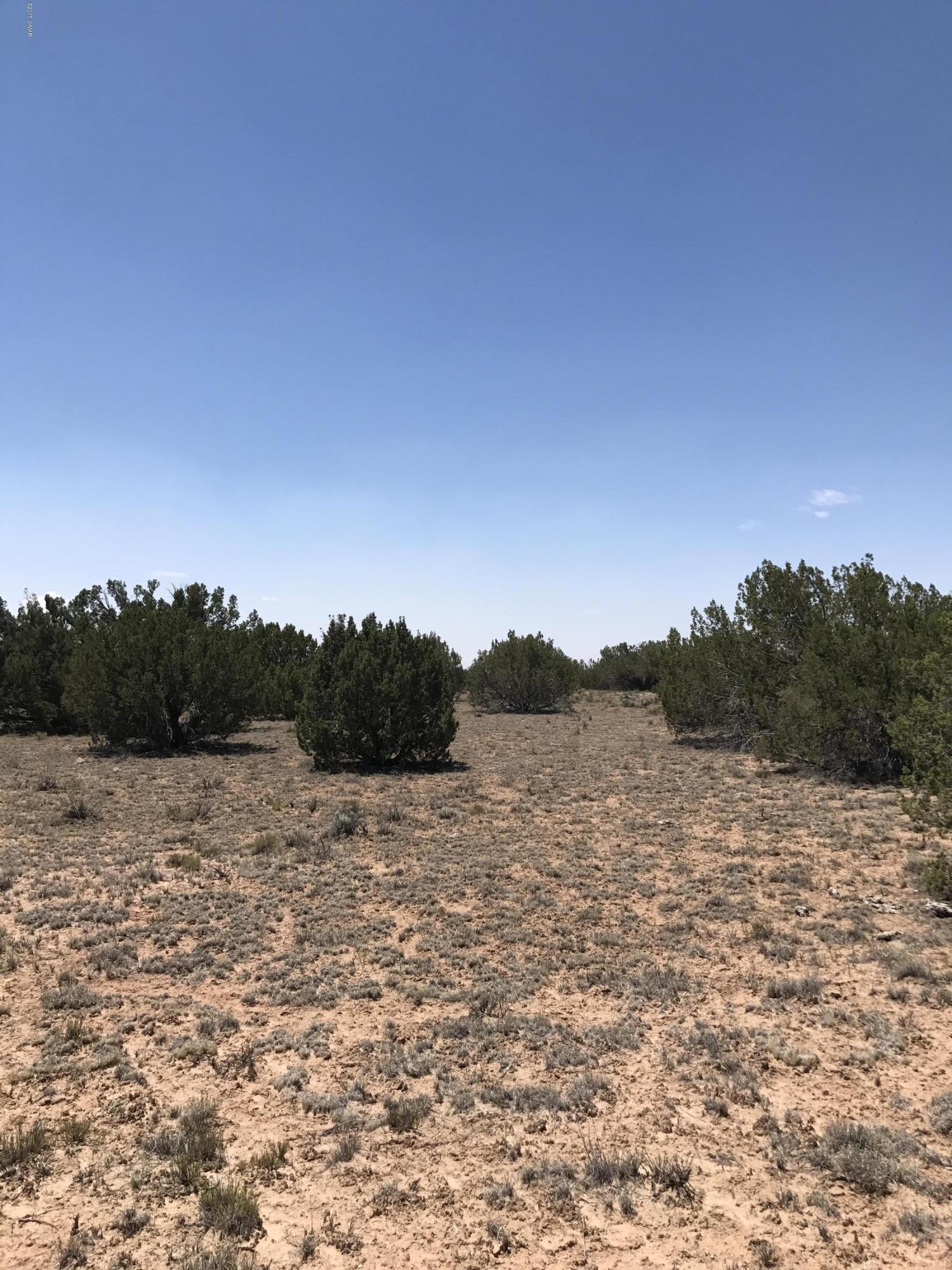 St-johns Az 85936 Ranch Chambers, AZ 86502 - Photo 7 of 12