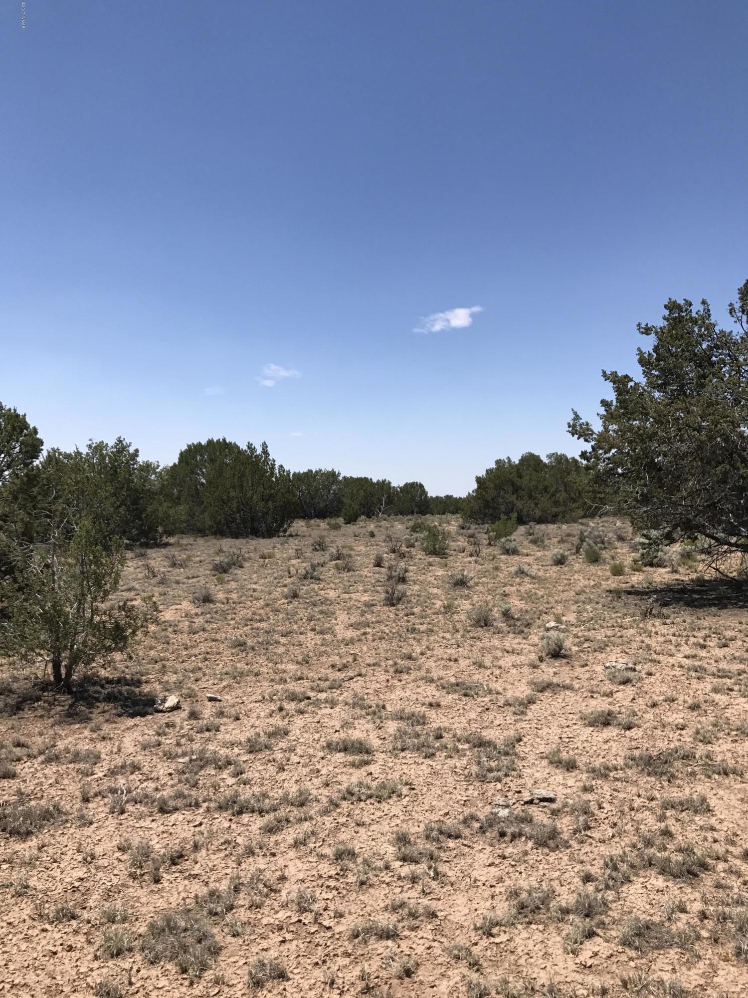 St-johns Az 85936 Ranch Chambers, AZ 86502 - Photo 9 of 12