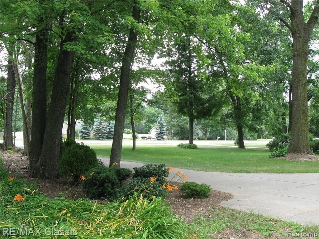 3580 John R Road Rochester, MI 48307 - Photo 3 of 21 Mature Trees