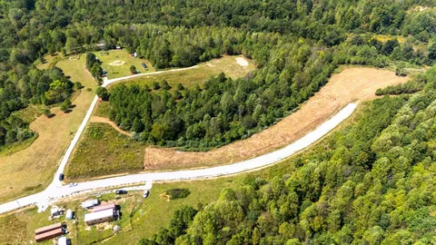 a view of a yard with plants