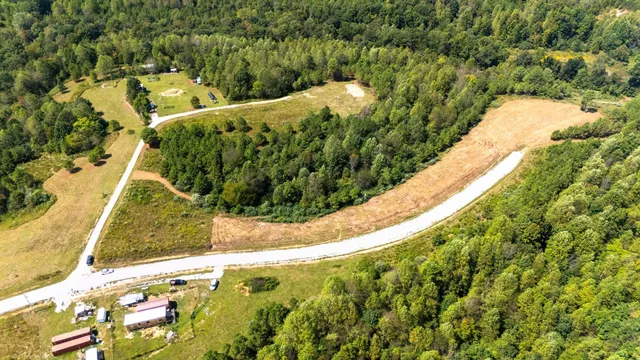 a view of a yard with plants