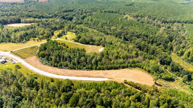 a view of a garden with a bench
