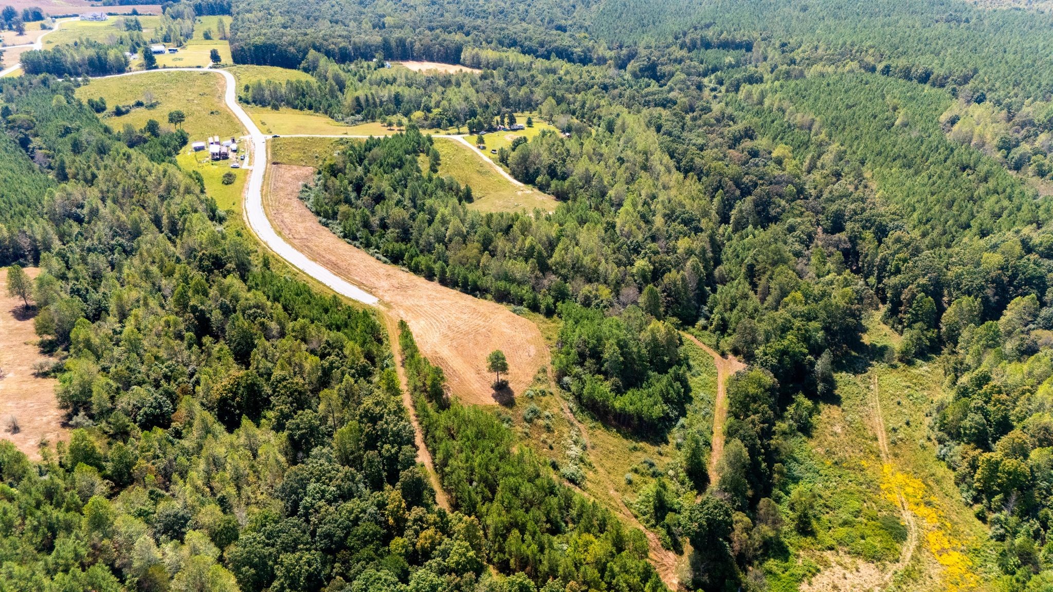 397 Lukas Road Lawrenceburg, TN 38464 - Photo 4 of 10 a view of a garden with a house