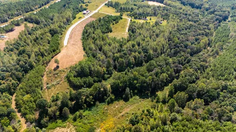 a view of a lake in a forest