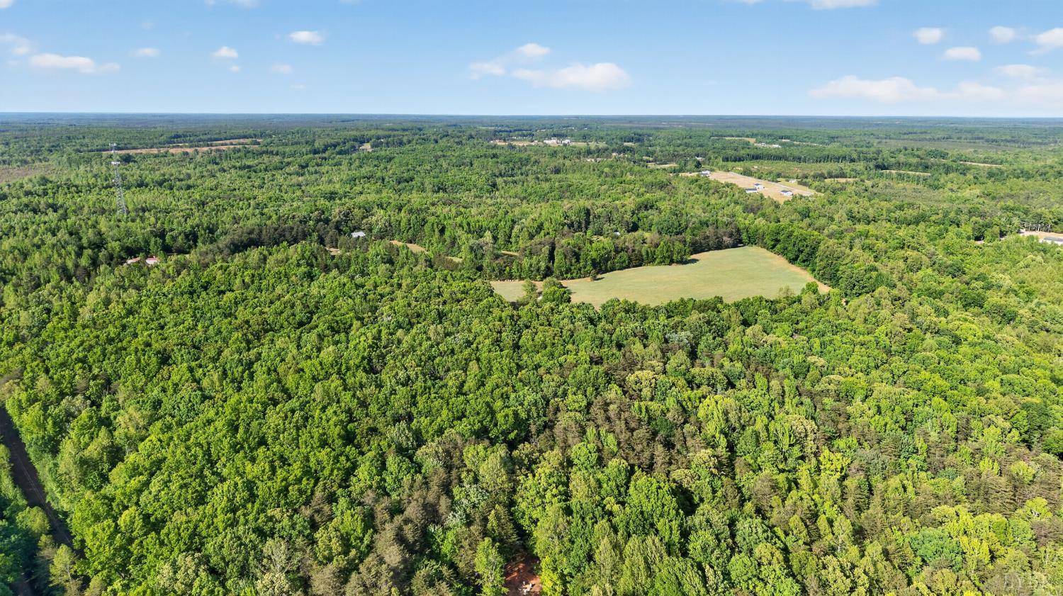 644 Campbell Crossing Road Meherrin, VA 23954 - Photo 43 of 49