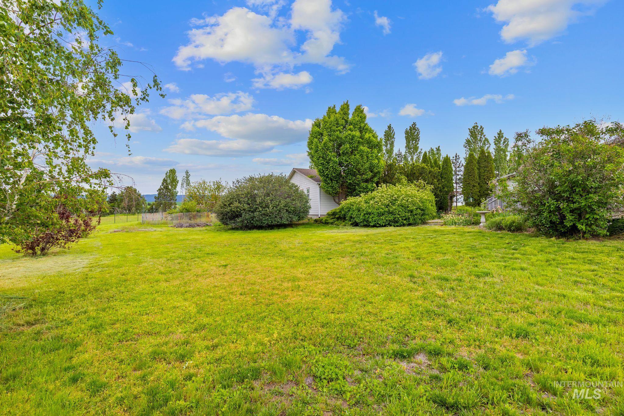 37989 Rosenkrantz Road Lewiston, ID 83501 - Photo 44 of 50 Expansive green lawn with mature trees and established shrubbery, featuring a white exterior structure in the background