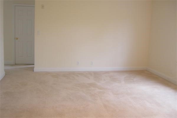 152 Newton Street, Unit 6 Boston, MA 02135 - Photo 10 of 17 a view of empty room