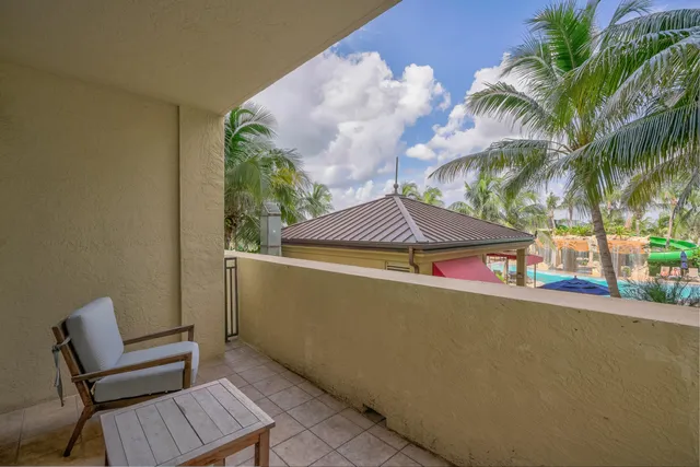 a view of a palm plant that is in front of a building
