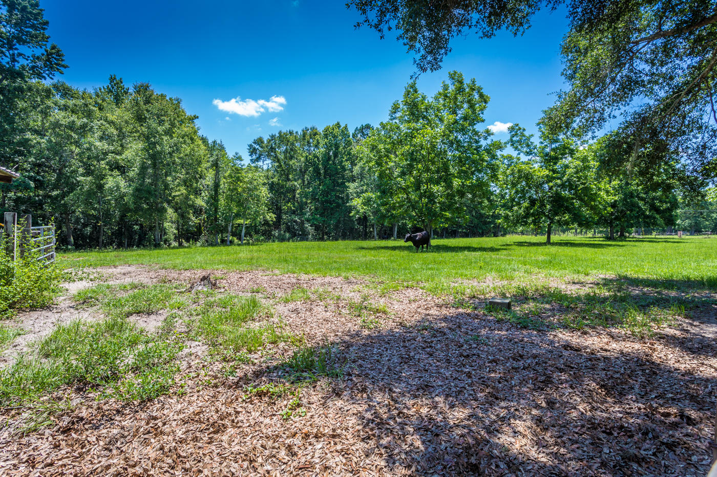 568 4 Mile Road Freeport, FL 32439 - Photo 44 of 54 Field